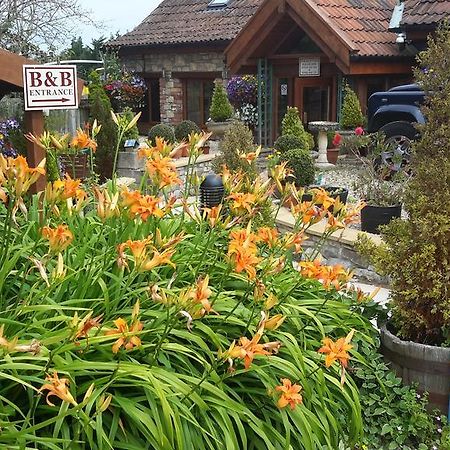 Bridge Farm Guesthouse Rooms Dundry Exteriör bild